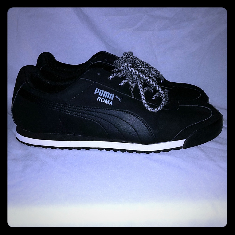 Puma roma